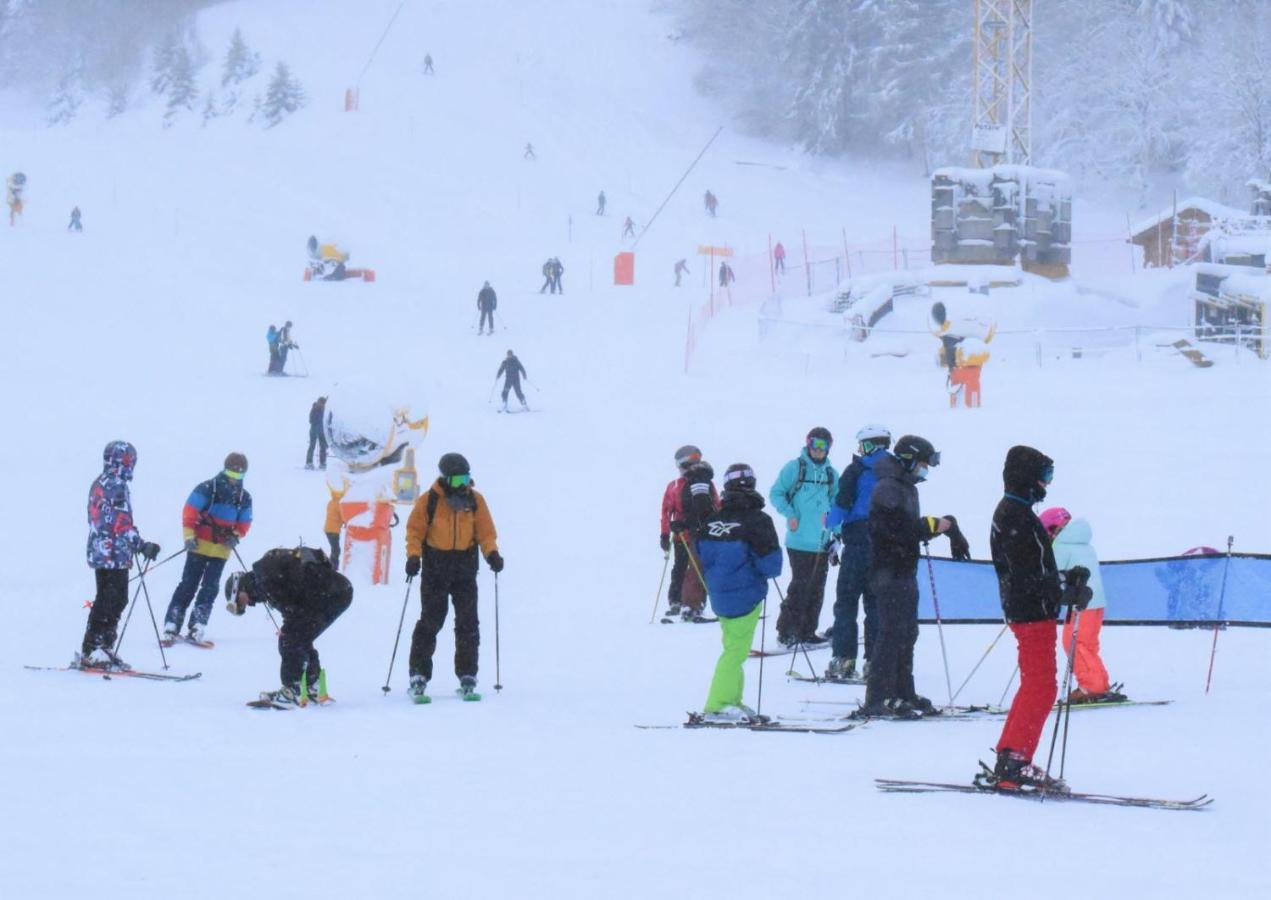 Place Royale Pour 10 A 12 Personnes A 30 Met Des Pistes De Ski Et Vtt Metabief Exterior photo