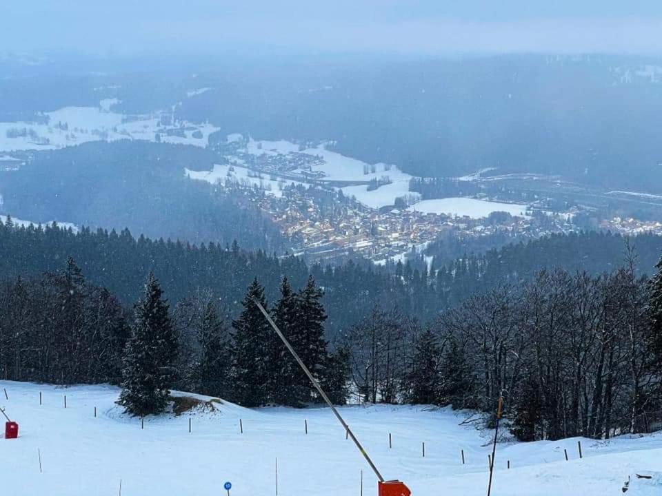 Place Royale Pour 10 A 12 Personnes A 30 Met Des Pistes De Ski Et Vtt Metabief Exterior photo